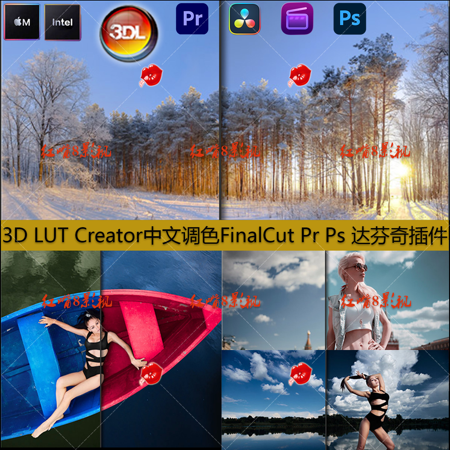 3D LUT Creator中文视频调色支持FCPX达芬奇Pr Ps插件Intel+M芯片