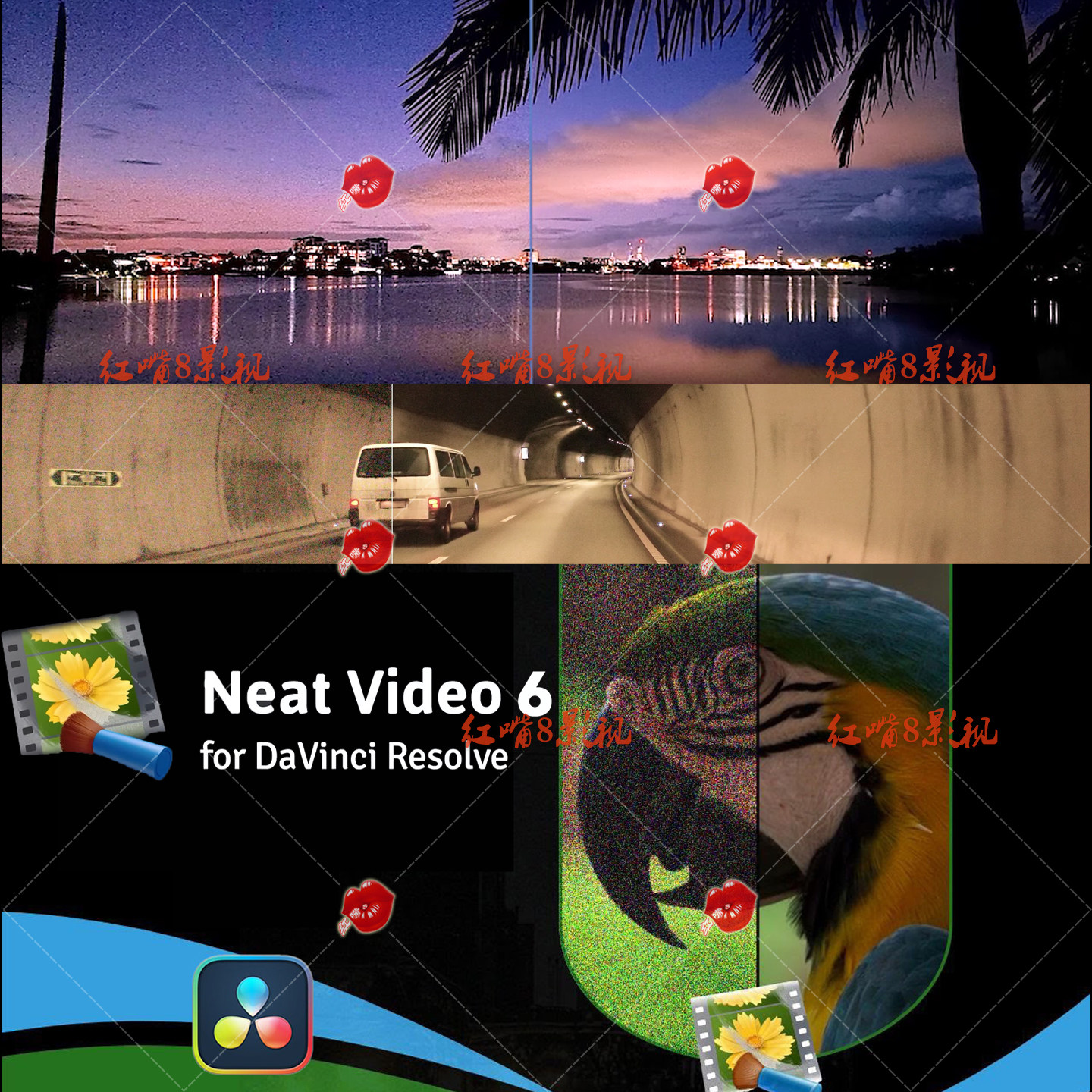 专业视频自动降噪Neat Video Pro 6.1.3去噪点达芬奇插件 Win+Mac