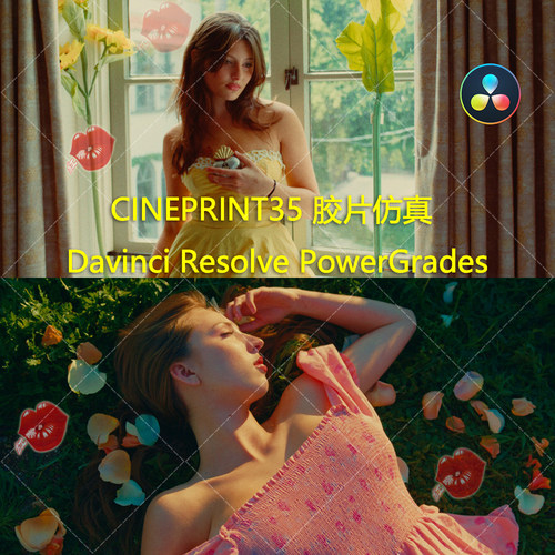 Cineprint35 Film Emulation PowerGrade 达芬奇胶片仿真节点调色