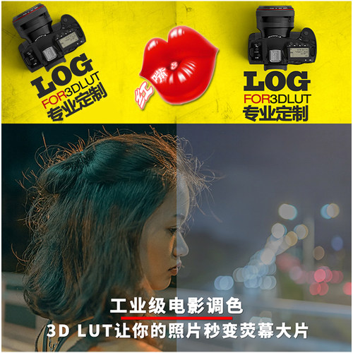 专业定制相机配置文件dcp格式log VisionLOG送3D LUT效果预览工具