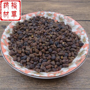 中药材女贞子500克包邮  冬青子精选野生女贞子 女贞子茶