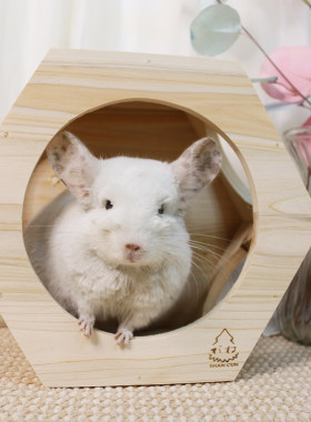 龙猫木窝松鼠躲避磨牙竹钉笼子