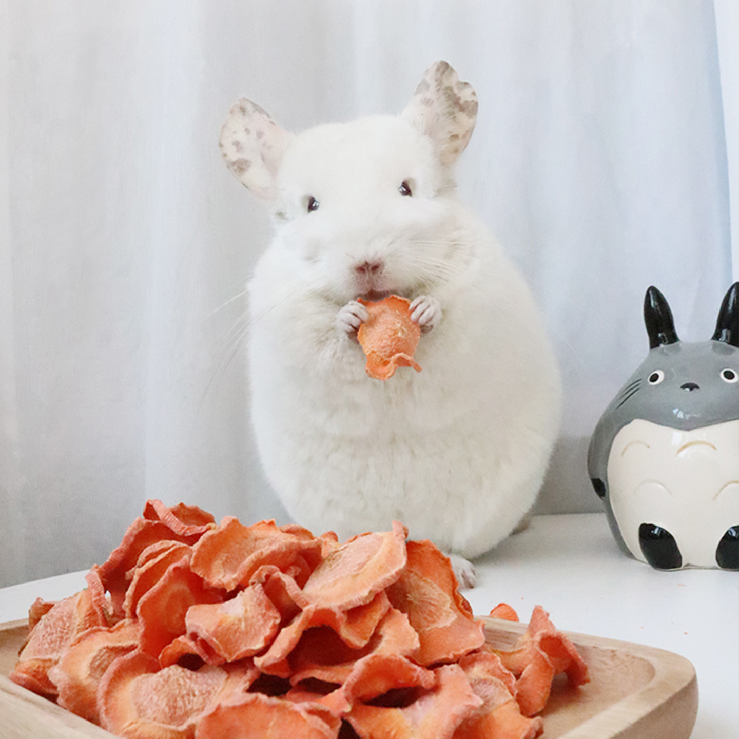 胡萝卜干龙猫兔子豚鼠荷兰猪零食店主自制美毛减少掉毛预防咬毛