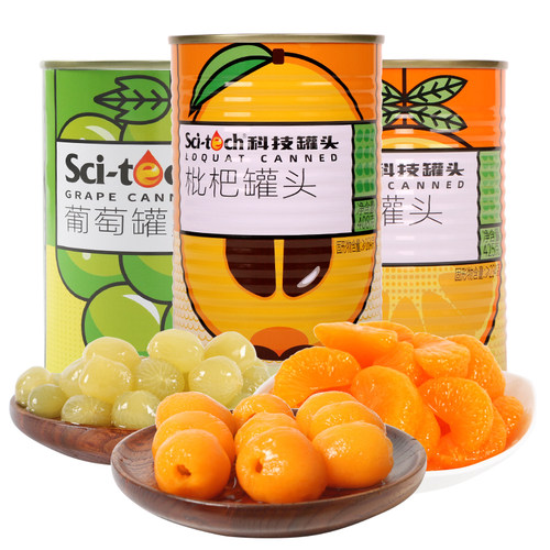 科技罐头糖水水果罐头组合装5罐