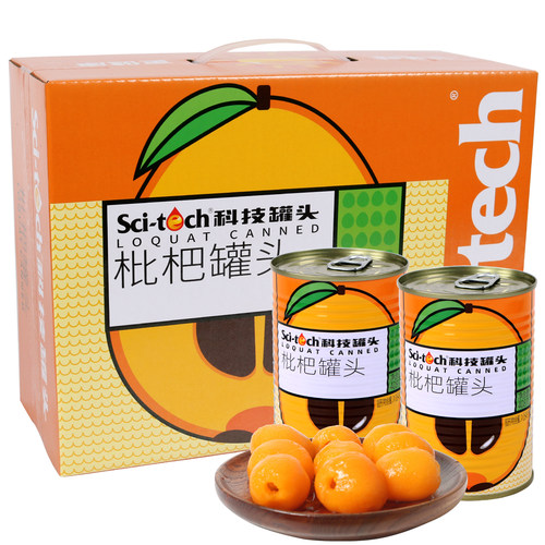 科技枇杷罐头408克*12罐提手彩箱
