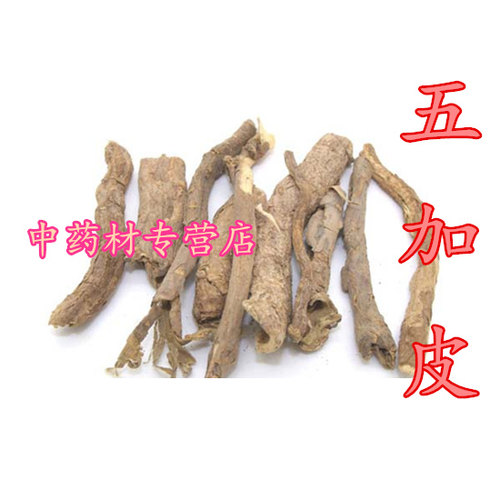 干五加皮 100克中药材 五加根皮茶 干货 香五加皮片 五加皮正品