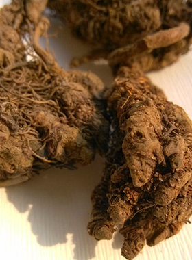 中药材鸡爪 黄连 川黄连粉黄莲茶100克王连单只支天然 另售胡黄连