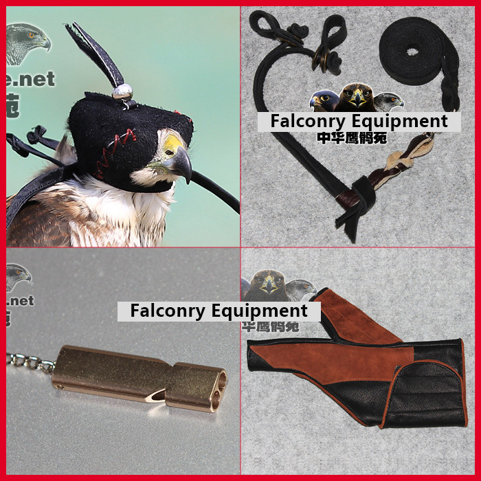 鹰具套装包邮小鹰套餐鹰具脚绊眼罩鹰帽子脚绳鹰哨手套绊子鹰鹘苑
