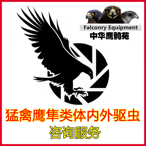 鹰具鹰隼驱虫体内球虫寄生虫鸽子