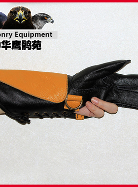 鹰具三指加长款小型鹰隼用具训鹰手套护手训鹦鹉手套宠物防抓防咬