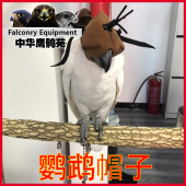 鹦鹉帽子眼罩头套金刚嘴套防叫面具玩具用具吊环秋千中站杠站架