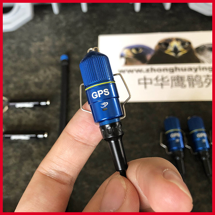 鹰具GPS Marshall GPS 马歇尔GPS手机定位追踪 鹰猎追踪 鹰鹘苑