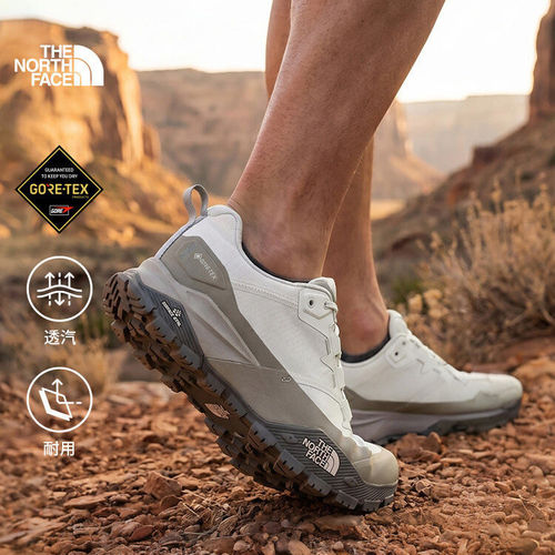 北面GTX防水透气男士徒步鞋8AEG