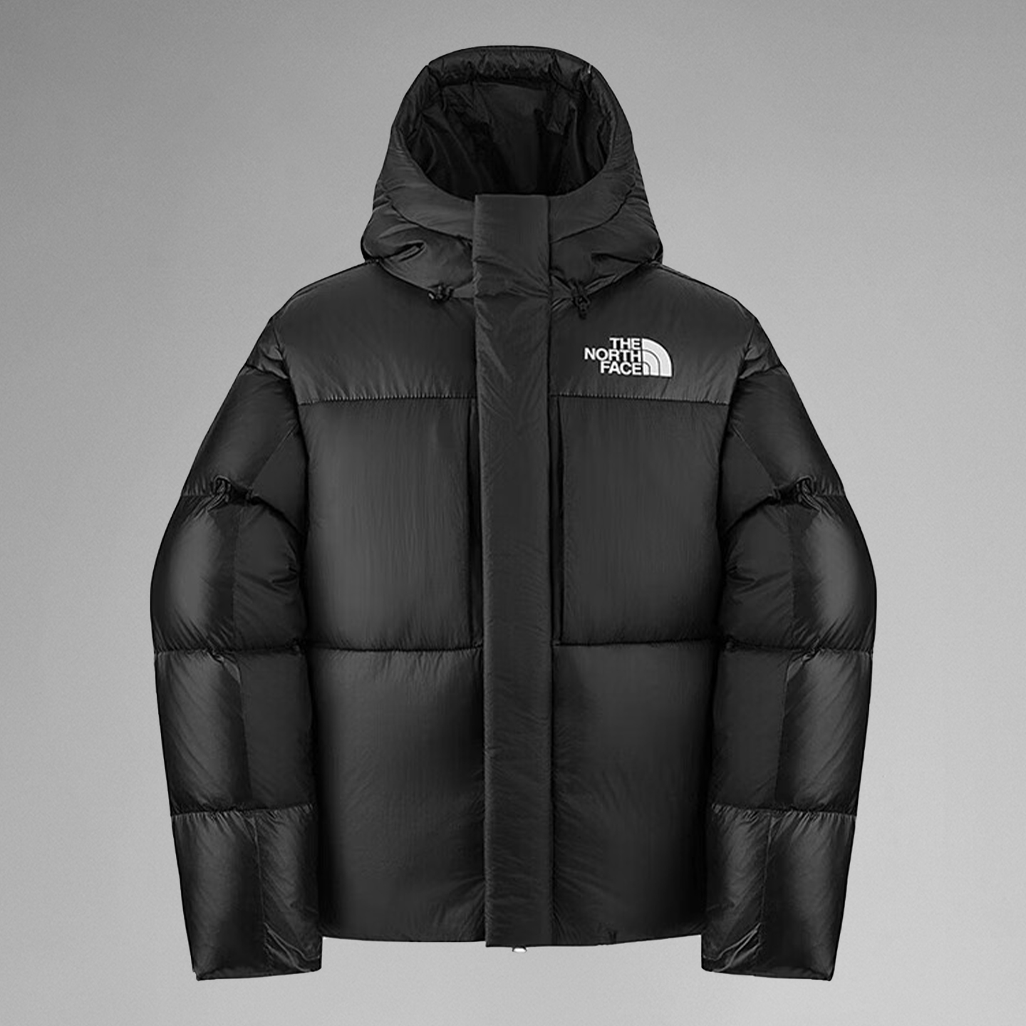北面羽绒服防泼水700蓬鹅绒外套