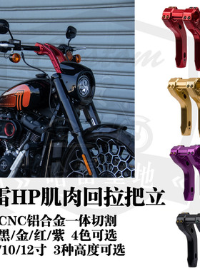 哈雷路威s街霸公路滑翔路威st软标改装DS风格肌肉HP把立金紫红黑
