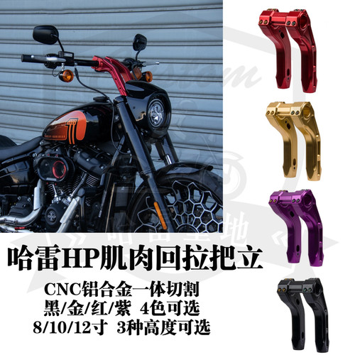 哈雷路威s街霸公路滑翔路威st软标改装DS风格肌肉HP把立金紫红黑
