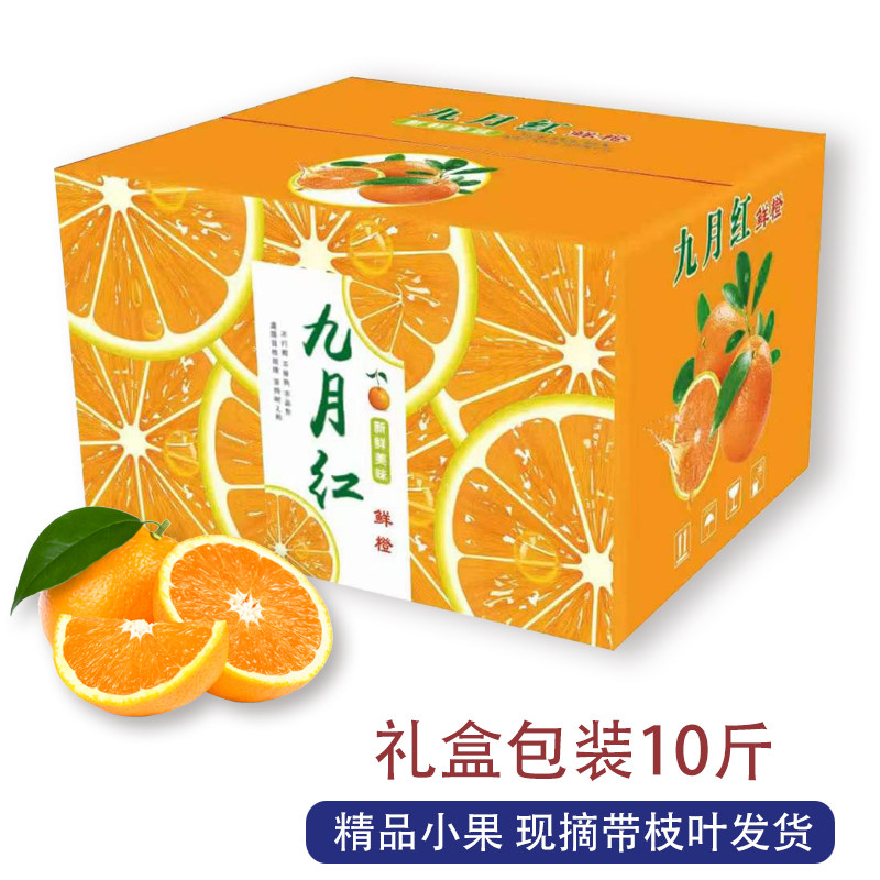 湖北秭归九月红果冻橙新鲜橙子现摘小果孕妇应季水果脐橙整箱包邮