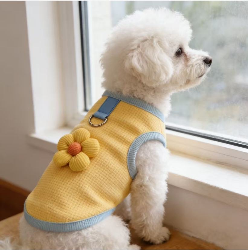 马卡龙小蝴蝶网眼防晒冰丝牵引背心小型犬约克夏猫咪狗狗凉凉衣