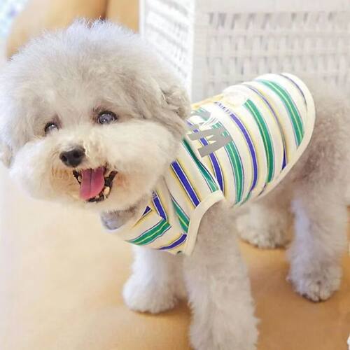 宠物猫咪比熊小型犬泰迪狗狗衣服室内马甲背心条纹衣服便宜清仓