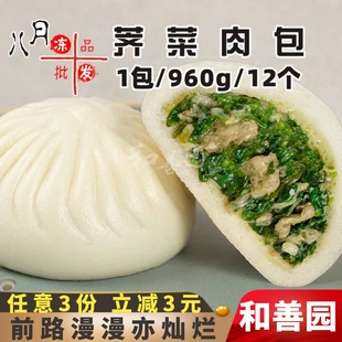 12个和善园荠菜肉包早点速冻半成品猪肉菜包营养早餐包子餐饮商用