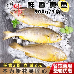 鼎金园鲜香黄鱼海鲜红烧新鲜宁德小黄鱼黄花鱼酒店速冻半成品商用