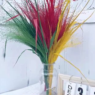 永生花喷泉草干花花穗灵动花材DIY耳环干花插花配草