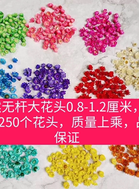 无杆大号小星花头小雏菊花头美甲营养油干花填充物果冻口红玻璃球
