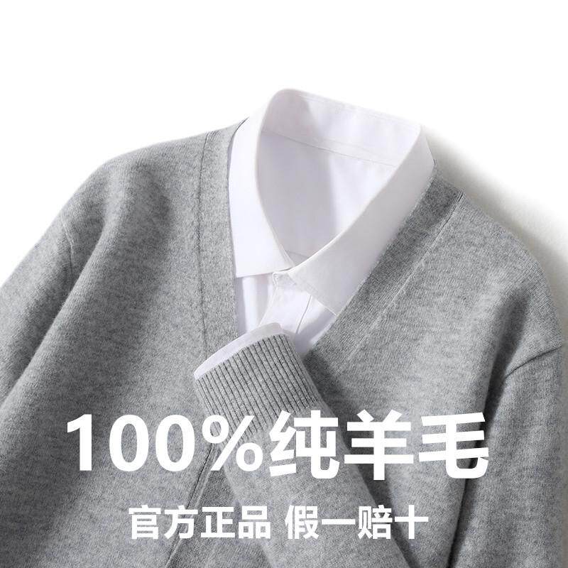 100%纯羊毛衫男开衫外套宽松V领毛衣春秋高端新款针织打底羊绒衫