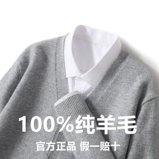 100%纯羊毛衫男开衫外套宽松V领毛衣春秋高端新款针织打底羊绒衫