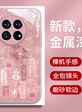 富贵锦鲤一加13手机壳新款一加ACE5女款OnePlus15金属漆全包防摔ace3pro轻奢高级1+12国潮风ace6个性文字简约