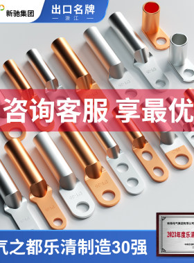 新驰集团紫铜DT铜鼻子国标