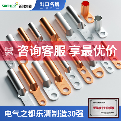 新驰集团紫铜DT铜鼻子国标