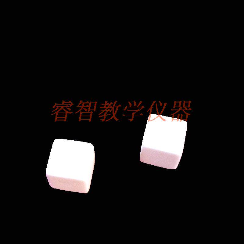 20523空白骰子2个塑料袋装 小学数学实验器材 教学仪器 小学科学