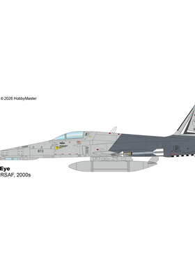 7月 HA3389 F5战斗机 RF-5S Tiger Eye 872 第141中队 RSAF,2000s
