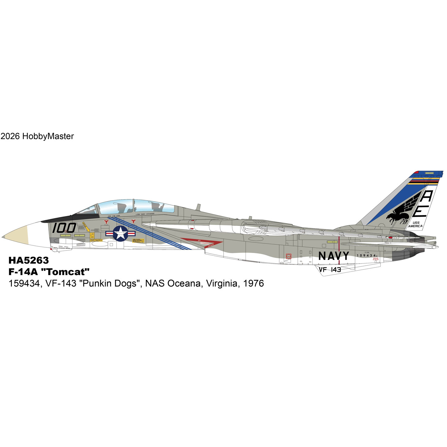 8月 HA5263 F14战斗机 F-14A VF-143 Punkin Dogs 呕吐犬中队1976