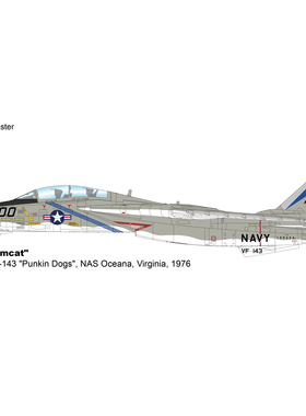 8月 HA5263 F14战斗机 F-14A VF-143 Punkin Dogs 呕吐犬中队1976