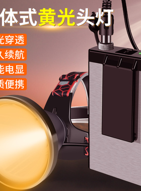 侣字12v头灯黄光超亮远射户外照明强光黄鳝蚂蝗金蝉led分体专用灯