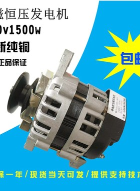 皮带轮式220V1500W小型无刷恒压纯铜线包家用照明小型交流发电机