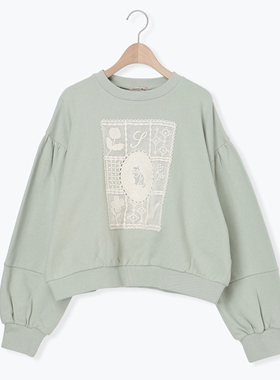 SM2甜美小清新猫咪蕾丝刺绣宽松百搭纯棉圆领长袖短款卫衣T恤女装