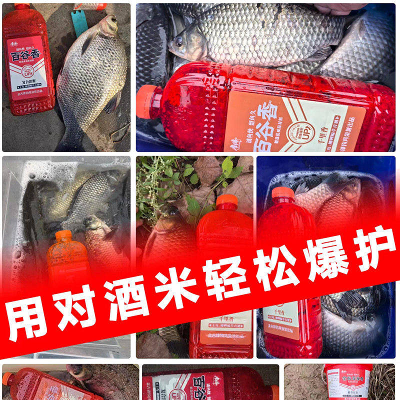 金吉锋2025新品百谷香酒米桶装窝料野钓鲫鱼四季通用传统钓打窝料图片