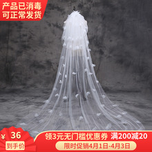 水晶相恋新款新娘结婚韩式超仙头纱1