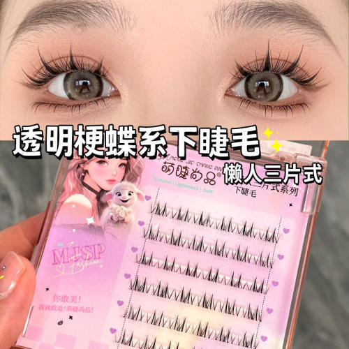 NoGluedLashEyxtensiFr