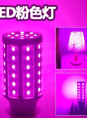 粉红紫色灯泡led彩色卧室情调氛围浪漫夜光灯螺口美颜补光小夜灯