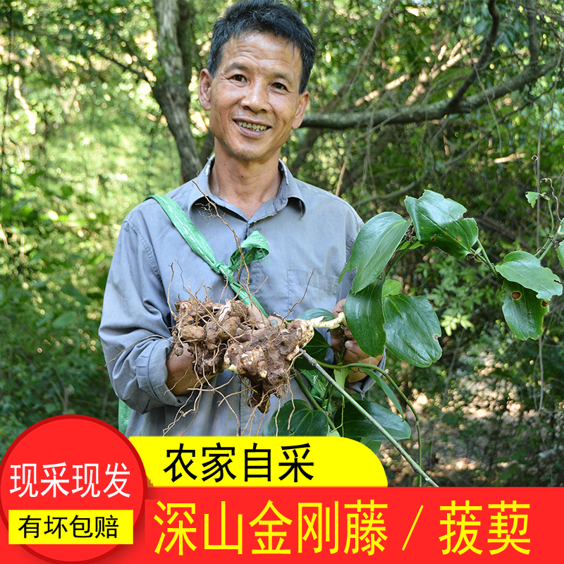 山区农家晒金刚藤头金刚藤根菝葜