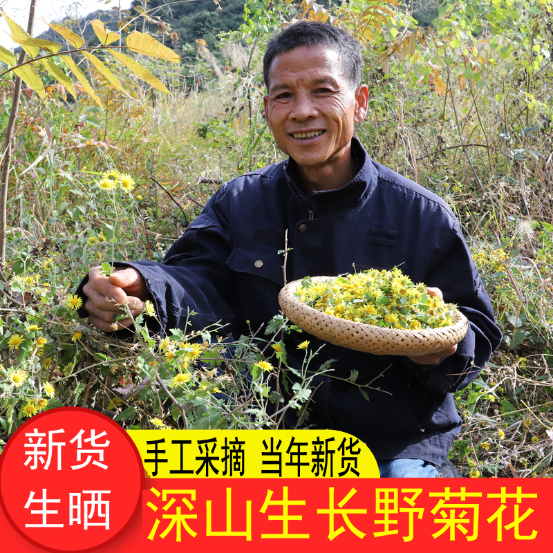 山区采晒菊花500g农家生晒无硫野菊花野菊米小胎菊米菊花泡水味苦