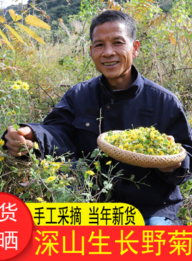 山区采晒菊花500g农家生晒无硫野菊花野菊米小胎菊米菊花泡水味苦