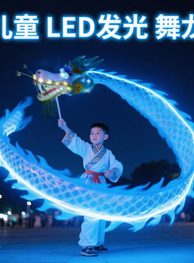 舞龙彩带儿童发光夜光龙头舞龙全套表演道具成人广场舞健身中国龙
