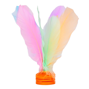 鸡毛毽子运动专用儿童小学生毽球比赛专用踢毽子键子耐踢腱踺子