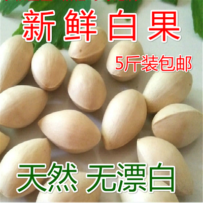 新鲜生白果5斤装保质量