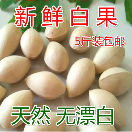 2025年新鲜生白果银杏果5斤装装包邮邳州带壳大佛指银杏仁白果仁